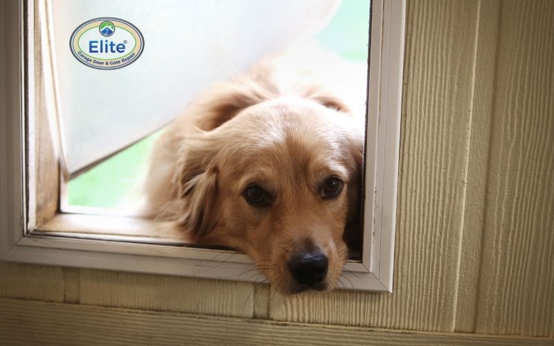 Installing A Pet Door In Your Garage Door