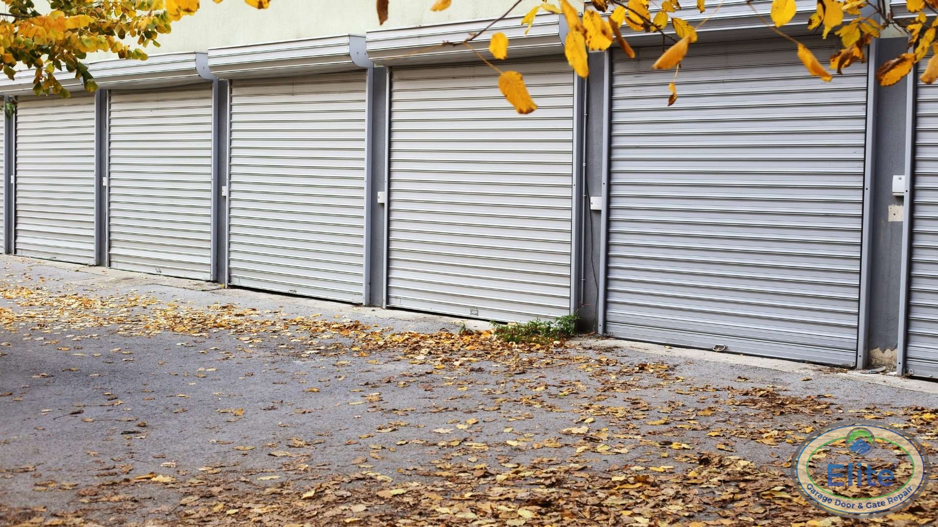 Smart Storage Solutions That Work in Washington Weather - Keeping Your Garage Organized: A Step-by-Step Guide
