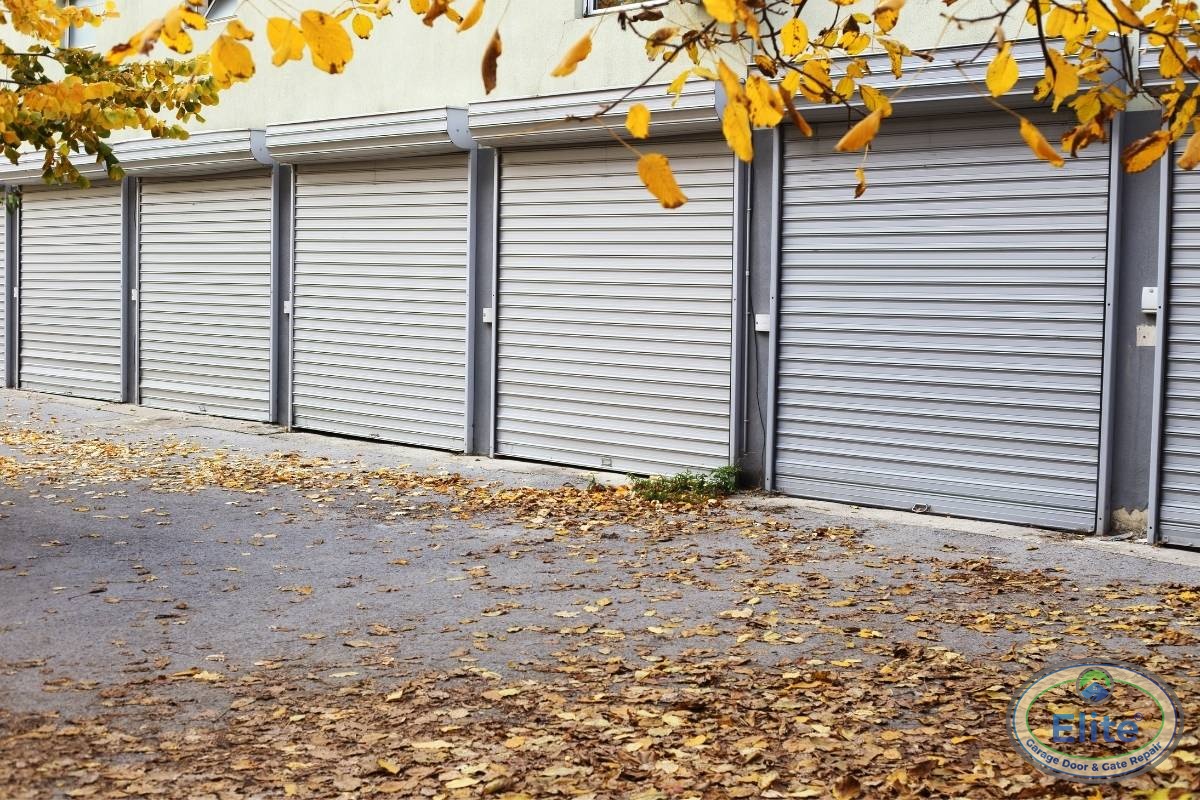 Where Mold Grows and Why It Matters - Dealing with Garage Door Condensation and Mold